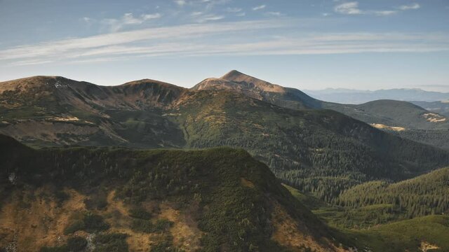 Aerial sun mountain pine forest. Nobody nature landscape at autumn sunny day. Green spruce wood on peak and hills. Carpathians mounts, Ukraine, Europe. Travel and tourism concept. Cinematic drone shot