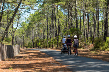 Obraz premium BASSIN D'ARCACHON (France), piste cyclable dans la forêt