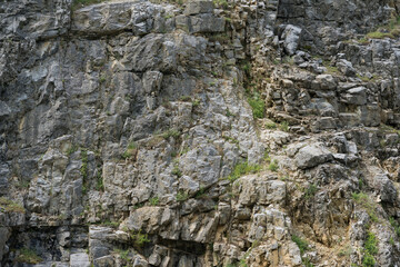Weathered rock face texture in old stone pit with parts of green. Aged stone wall surface background pattern with cracks and scratches
