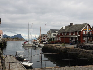 Fototapeta premium OLYMPUS DIGITAL CAMERA