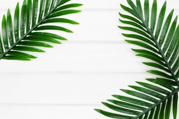 Tropical palm dark green leaves on white painted wooden boards. Copy space. Abstract floral frame background