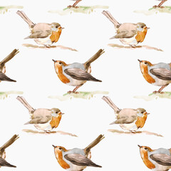 Watercolor seamless pattern hand-drawn robin bird on a white background. Suitable for decorating a children's room, textiles, ceramics, wrapping paper and scrapbooking. Romantic style.