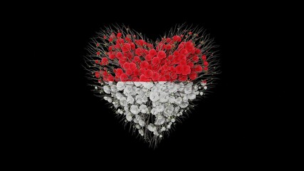 Monaco National Day. 19 November. The Sovereign Prince's Day. Heart shape made out of flowers on black background. 3D rendering.