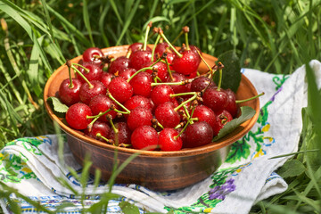 A bowl full of sweet ripe red cherries standing on the green grass.
