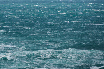 Fototapeta premium l'océan et la tempête