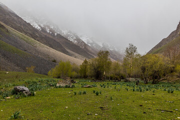Fototapeta na wymiar Jizev (Jizeu, Geisev or Jisev) valley in Pamir mountains, Tajikistan