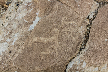 Ancient petroglyphs in Langar village in Wakhan valley , Tajikistan