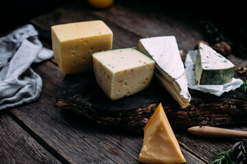 Cheese on a wooden table. Brie, dor blue, parmesan, gouda
