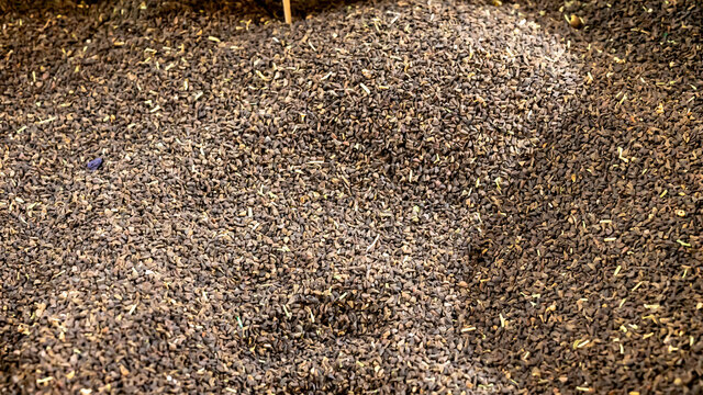 Pile of esfand herb sold in a traditional Iranian market.