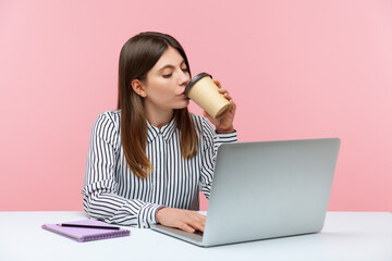 Serious concentrated business woman in striped shirt drinking coffee looking at laptop display sitting at workplace, surfing internet. Indoor studio shot isolated on pink background