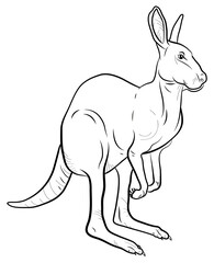 Black and white image of a kangaroo, coloring book for little children.