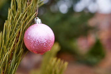 Christmas tree toy pink ball hanging on the fir. Close up, selective focus