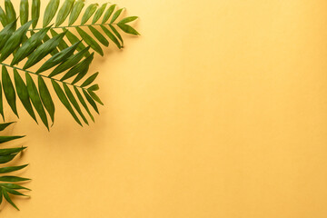 Tropical plant foliage on yellow paper background. Color of the year 2021. flat lay, copy space