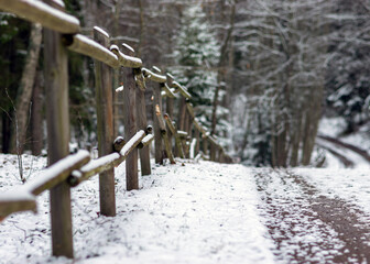 winter landscape with snowy road, snow-covered wooden fence, trees and shrubs by the road, winter