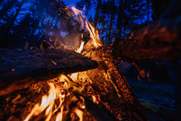 close up of a bonfire burning in a forest 