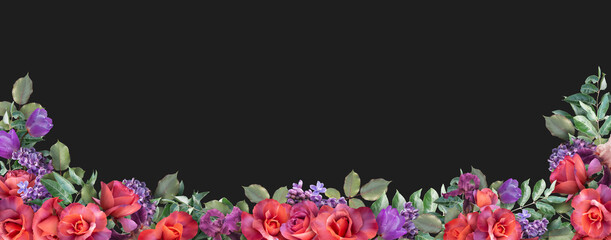 Red roses and purple flowers isolated on dark background. Floral banner, header with copy space. Natural flowers wallpaper or greeting card.