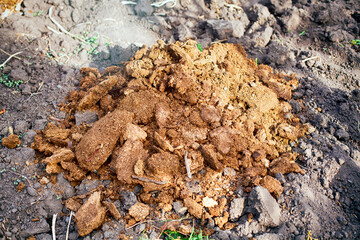 Heap of manure for fertilizing the field.