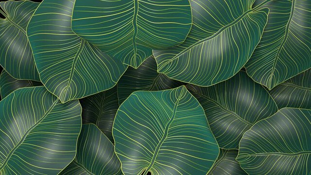 Luxury leaves  gold and nature green transition background. Floral pattern, Golden split-leaf Philodendron plant with monstera plant line arts, Loopable video.
