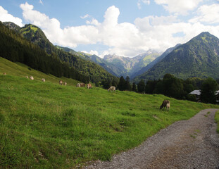 Fototapeta na wymiar A view of Trettach valley in Oberstdorf, Bavaria, Germany