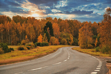 Road in the autumn forest. Yellow leaves. Dramatic sky
