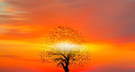 Silhouette of birds flying over lone dead tree at sunset