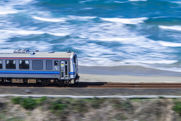 まだ、肌寒い3月。少し厚着をして海へ出かけてみませんか？