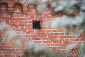 Waldkauz in Kapelle XI