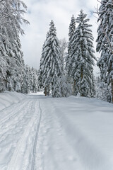 pistes de ski de fond des Vosges