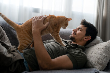 brown tabby cat walks on the chest of a man lying on a sofa under the window