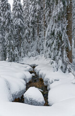 ruisseau sous la neige