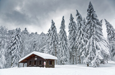 chalet des Vosges en hiver