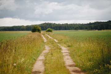 Fototapeta na wymiar Dusty gravel road in a countryside meadow
