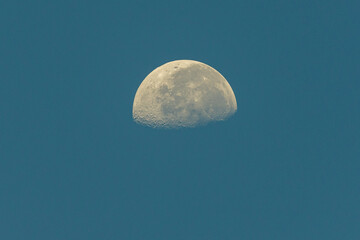 Moon on blue sky in the morning light with half moon setting and craters visible.