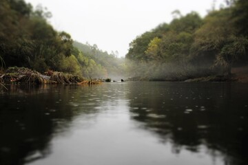 Fototapeta na wymiar Vista de la niebla sobre el río
