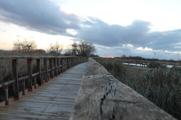 Tablas Daimiel