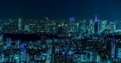 Night view of Shinjuku, Tokyo, a cyberpunk city