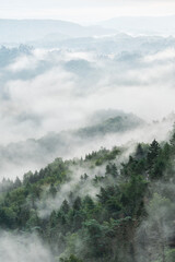 Fog Rising from Hills Covered by Forest