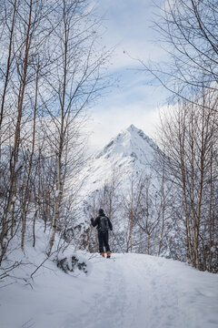 Person On A Path In Forest Doing Ski Touring