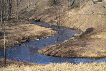 river in the park in autumn