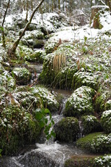 Bach, Fluss, Weg, Baum, Wald, Schwarzwald, 