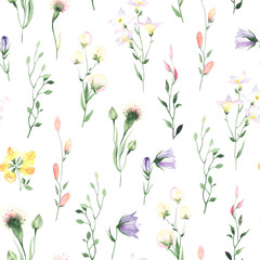 Floral watercolor seamless pattern with colorful wildflowers. Design illustration meadow on white background for textile, wallpapers or paper.