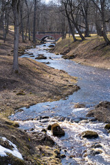 river in the park in autumn