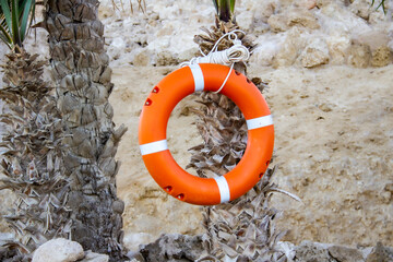 Lifebuoy hanging on the beach against background