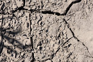ecology, drought, temperature, cracks in the ground close-up. Cracked earth, cracked soil. texture...