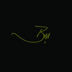 Bm handwritten logo for identity black background