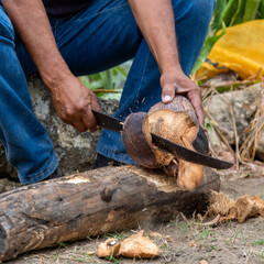 man chopping coconuts