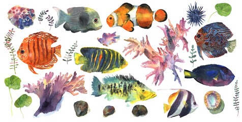 Naklejka premium Cartoon fishes witn floral hand drawn in watercolor for decoration design. Colorful set. Underwater world