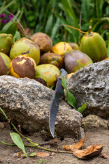 coconuts and knife on the ground