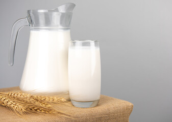  Jug of fresh milk glass and barley wheat on sackcloth for a background..Raw milk is high in calcium and protein to drink for all ages..Milk consumption nutritious and healthy dairy products concept.