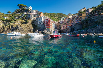clear water of cinque terre harbor